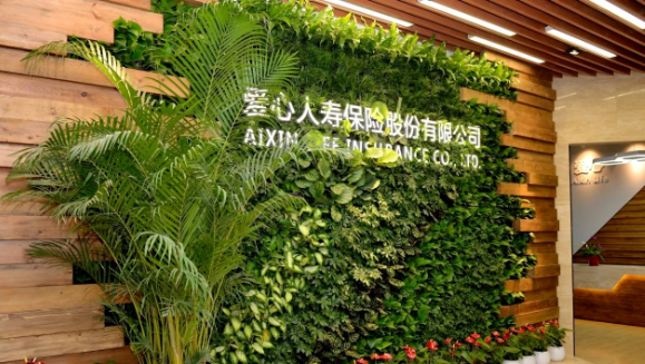 002cc白菜资讯健康集团第三次增资爱心人寿获批，新“国十条”助力医疗和保险深度融合