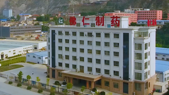 甘肃省副省长葛建团莅临002cc白菜资讯（002219）旗下佛仁制药考察调研